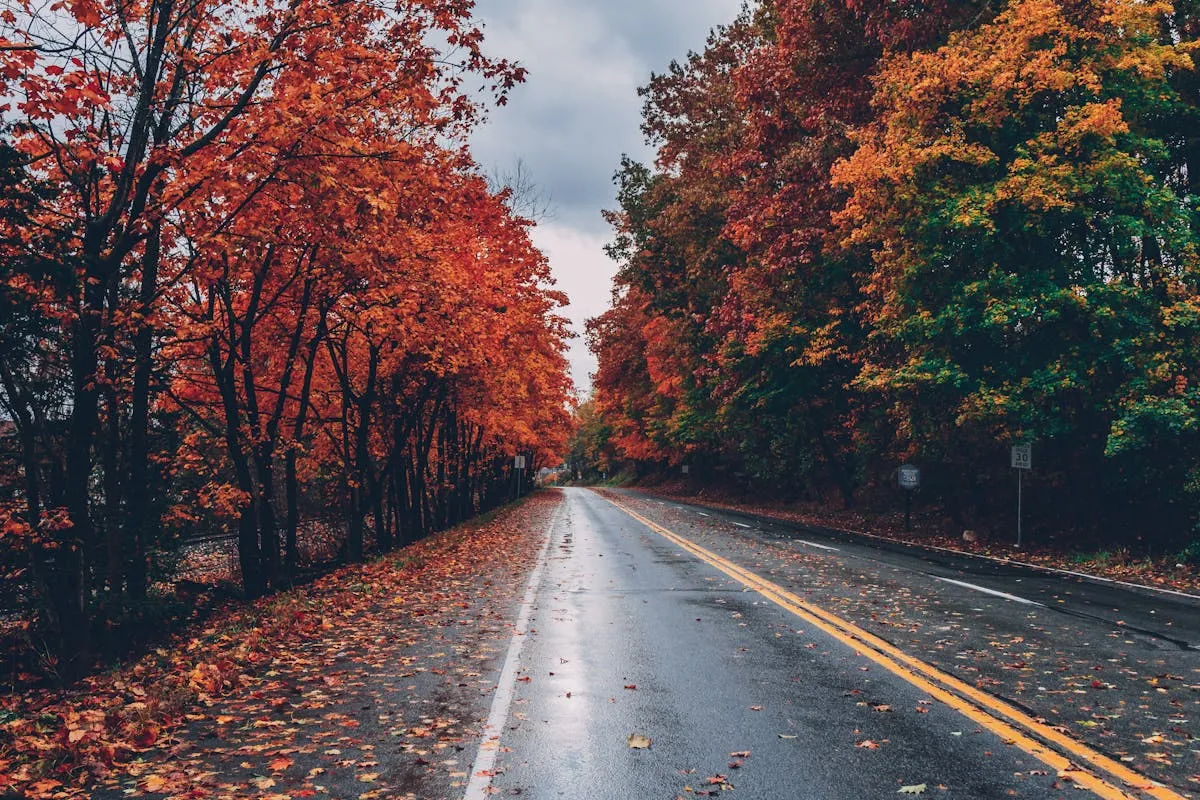 Fall Foliage Outings for Seniors on the South Shore
