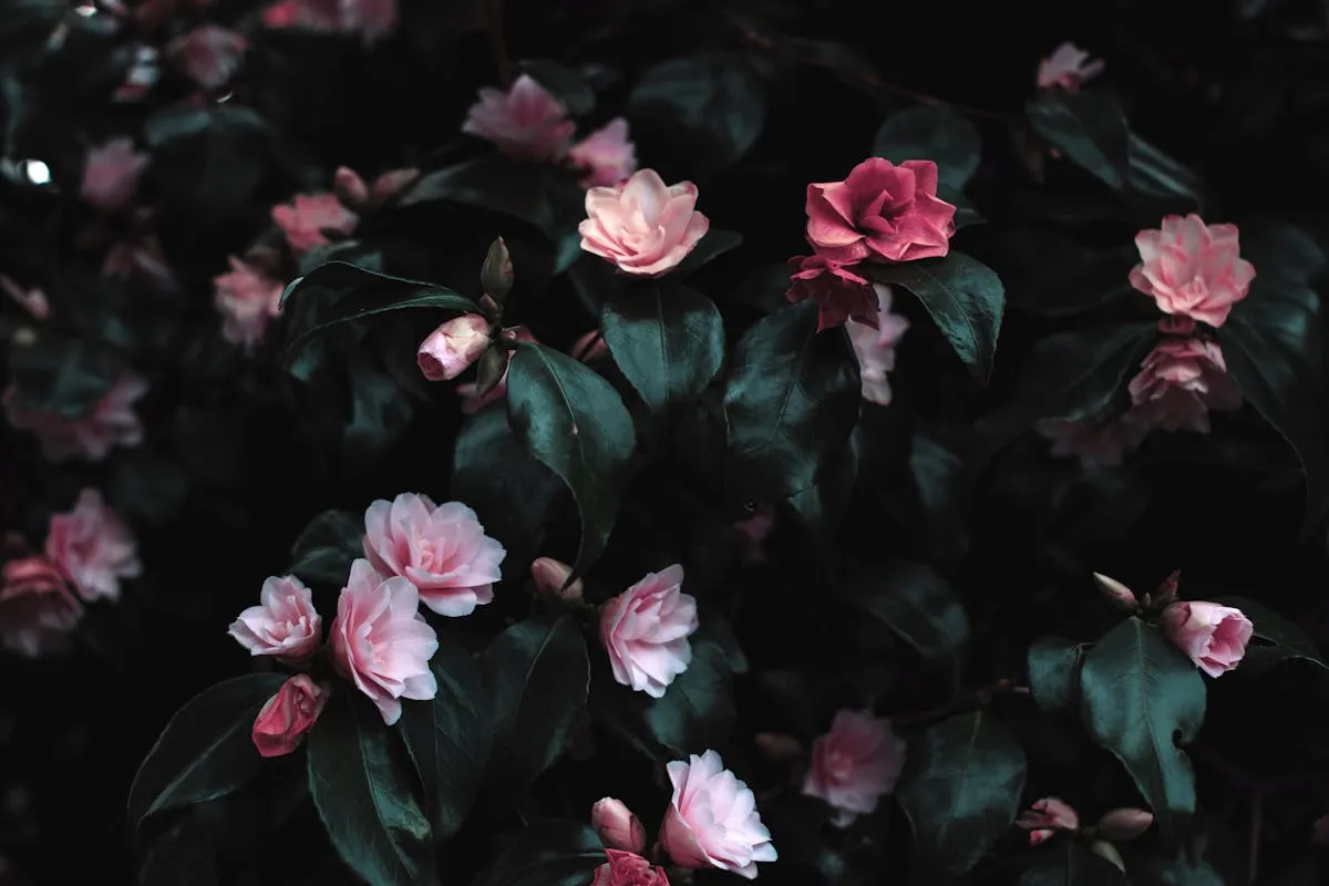 Celebrating Mother's Day at a Nursing Home: Ideas for Families